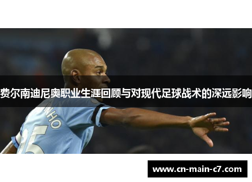 费尔南迪尼奥职业生涯回顾与对现代足球战术的深远影响