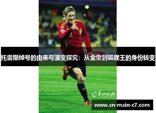 托雷斯绰号的由来与演变探究:从金童到狐狸王的身份转变 托雷斯绰号的由来与演变探究:从金童到狐狸王的身份转变