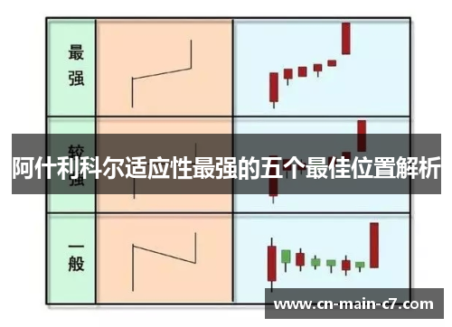 阿什利科尔适应性最强的五个最佳位置解析 阿什利科尔适应性最强的五个最佳位置解析