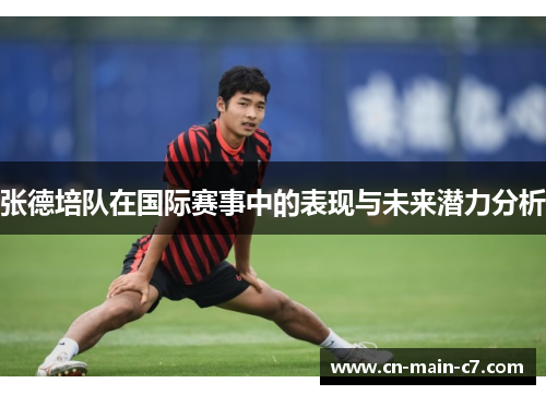 张德培队在国际赛事中的表现与未来潜力分析