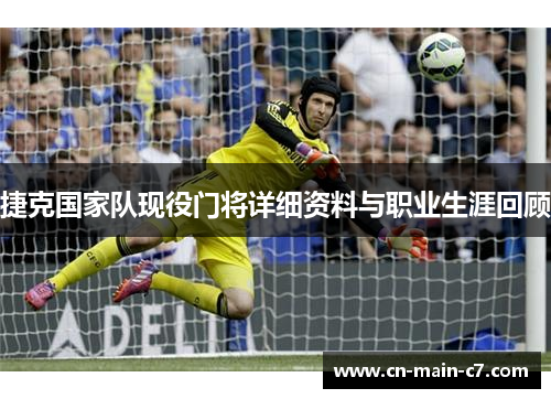 捷克国家队现役门将详细资料与职业生涯回顾
