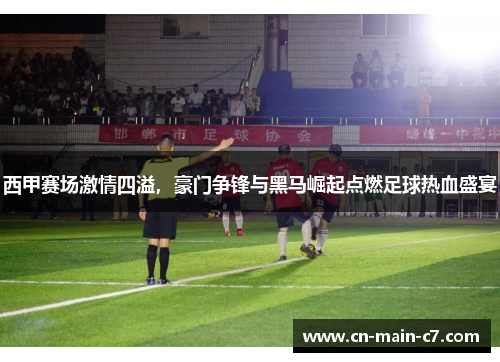 西甲赛场激情四溢，豪门争锋与黑马崛起点燃足球热血盛宴