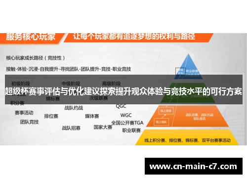超级杯赛事评估与优化建议探索提升观众体验与竞技水平的可行方案