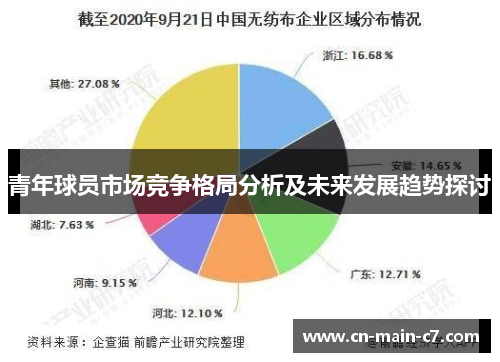 青年球员市场竞争格局分析及未来发展趋势探讨
